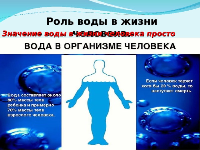 Роль воды в жизни человека. Значение воды в жизни человека просто бесценно! 