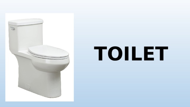 TOILET 