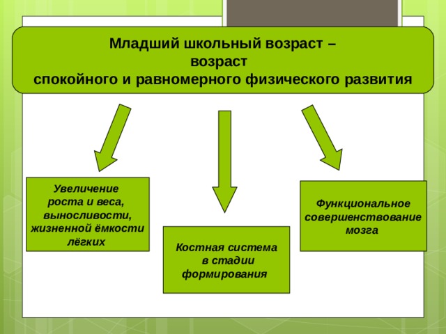  Младший школьный возраст – возраст спокойного и равномерного физического развития Увеличение роста и веса, выносливости,  жизненной ёмкости лёгких Функциональное  совершенствование мозга  Костная система  в стадии формирования 