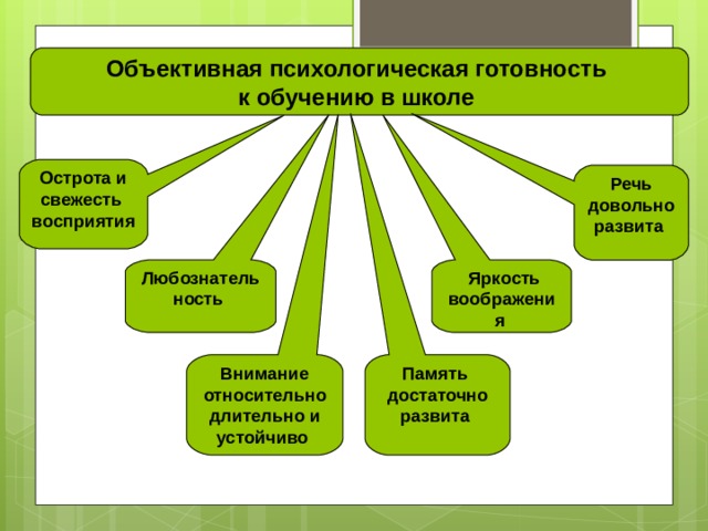 Внимание относительно длительно и устойчиво Память достаточно развита Острота и свежесть восприятия Любознательность  Яркость воображения Объективная психологическая готовность к обучению в школе Речь довольно развита 
