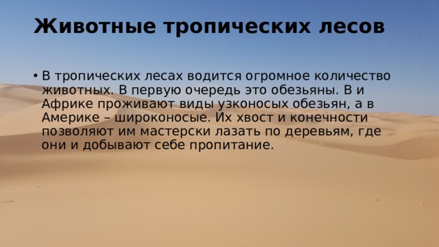 Животные тропических лесов   В тропических лесах водится огромное количество животных. В первую очередь это обезьяны. В и Африке проживают виды узконосых обезьян, а в Америке – широконосые. Их хвост и конечности позволяют им мастерски лазать по деревьям, где они и добывают себе пропитание. 