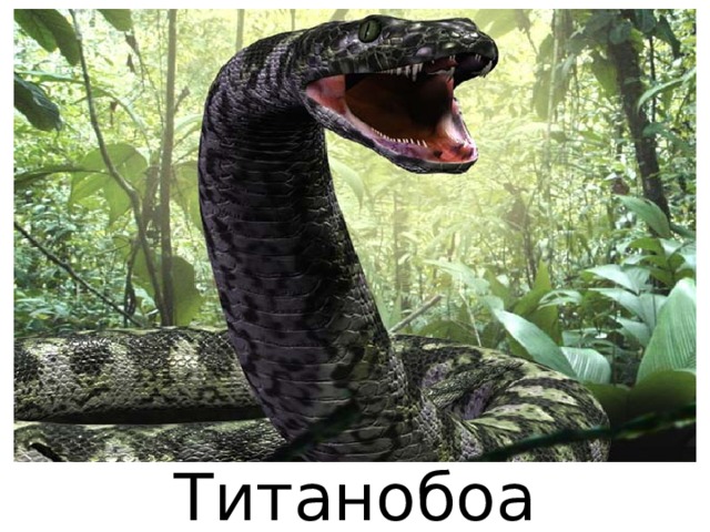 Титанобоа 