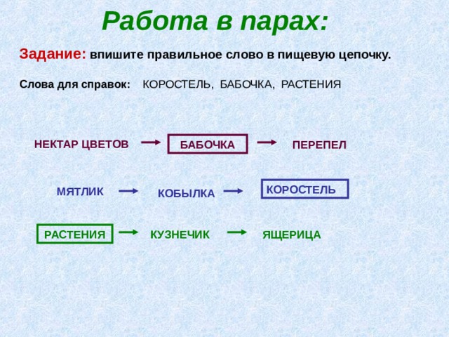 Работа в парах:  Задание:  впишите правильное слово в пищевую цепочку.  Слова для справок: КОРОСТЕЛЬ, БАБОЧКА, РАСТЕНИЯ НЕКТАР ЦВЕТОВ БАБОЧКА ПЕРЕПЕЛ КОРОСТЕЛЬ МЯТЛИК КОБЫЛКА РАСТЕНИЯ КУЗНЕЧИК ЯЩЕРИЦА 