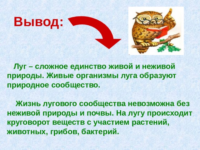 Вывод:  Луг – сложное единство живой и неживой природы. Живые организмы луга образуют природное сообщество.    Жизнь лугового сообщества невозможна без неживой природы и почвы. На лугу происходит круговорот веществ с участием растений, животных, грибов, бактерий. 