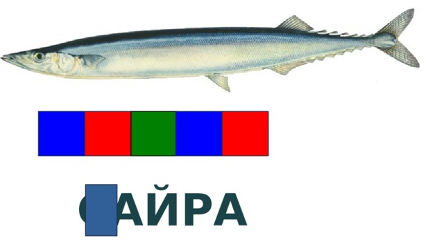 Живёт в Арктике САЙРА  