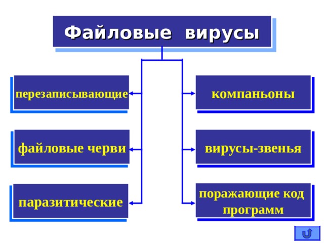 СРЕДА ОБИТАНИЯ загрузочные файловые макро сетевые  