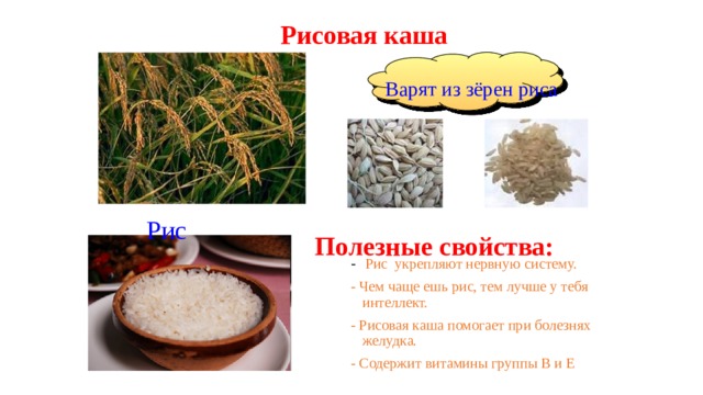 Рисовая каша Варят из зёрен риса Рис Полезные свойства: - Рис укрепляют нервную систему. - Чем чаще ешь рис, тем лучше у тебя интеллект. - Рисовая каша помогает при болезнях желудка. - Содержит витамины группы В и Е 