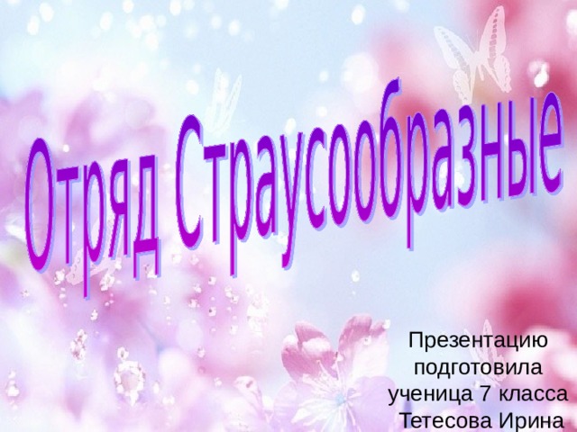 Презентацию подготовила ученица 7 класса Тетесова Ирина 