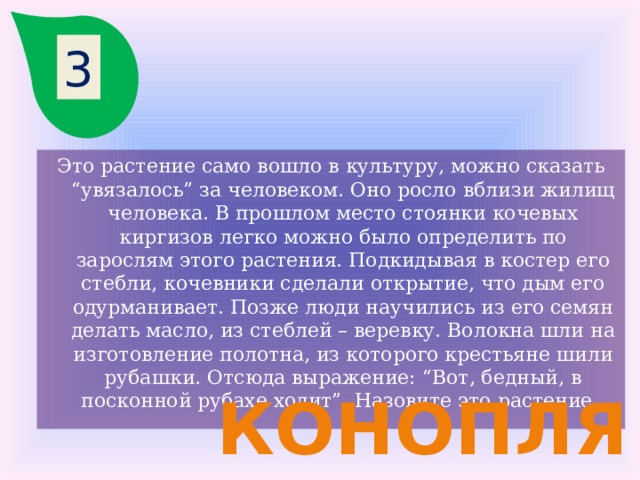 3 Это растение само вошло в культуру, можно сказать “увязалось” за человеком. Оно росло вблизи жилищ человека. В прошлом место стоянки кочевых киргизов легко можно было определить по зарослям этого растения. Подкидывая в костер его стебли, кочевники сделали открытие, что дым его одурманивает. Позже люди научились из его семян делать масло, из стеблей – веревку. Волокна шли на изготовление полотна, из которого крестьяне шили рубашки. Отсюда выражение: “Вот, бедный, в посконной рубахе ходит”. Назовите это растение. конопля 