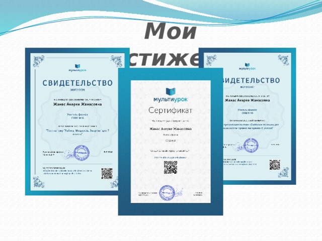 Мои достижения 
