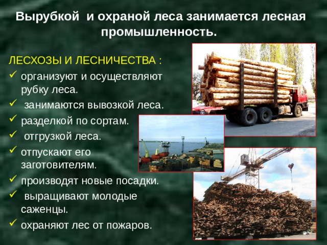 Вырубкой и охраной леса занимается лесная промышленность. ЛЕСХОЗЫ И ЛЕСНИЧЕСТВА : организуют и осуществляют рубку леса.  занимаются вывозкой леса. разделкой по сортам.  отгрузкой леса. отпускают его заготовителям. производят новые посадки.  выращивают молодые саженцы. охраняют лес от пожаров. 