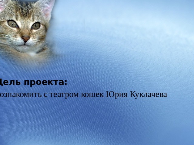   Цель проекта:  познакомить с театром кошек Юрия Куклачева 