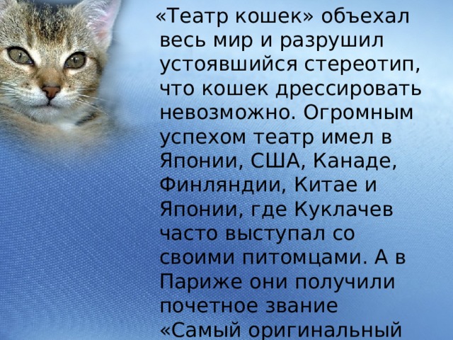 «Театр кошек» объехал весь мир и разрушил устоявшийся стереотип, что кошек дрессировать невозможно. Огромным успехом театр имел в Японии, США, Канаде, Финляндии, Китае и Японии, где Куклачев часто выступал со своими питомцами. А в Париже они получили почетное звание «Самый оригинальный театр в мире.» 