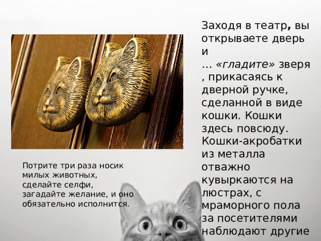 Заходя в театр ,  вы открываете дверь и …  «гладите»  зверя, прикасаясь к дверной ручке, сделанной в виде кошки. Кошки здесь повсюду. Кошки-акробатки из металла отважно кувыркаются на люстрах, с мраморного пола за посетителями наблюдают другие кошки, выточенные из камня.  Потрите три раза носик милых животных, сделайте селфи, загадайте желание, и оно обязательно исполнится.   