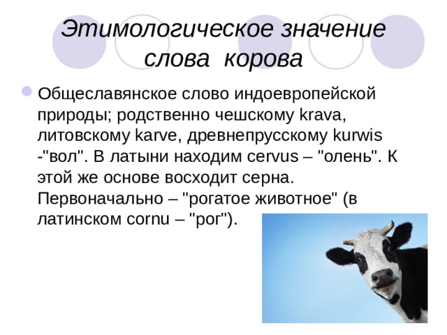 Этимологическое значение слова корова