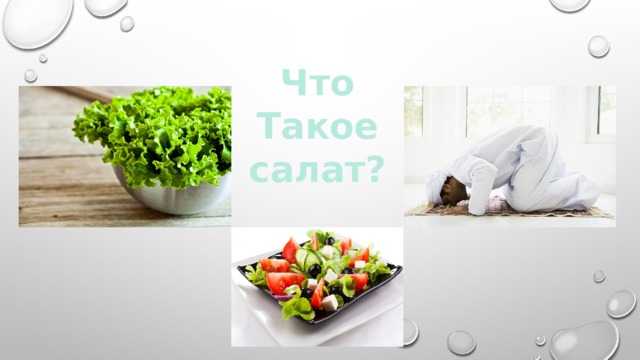 Что Такое салат?