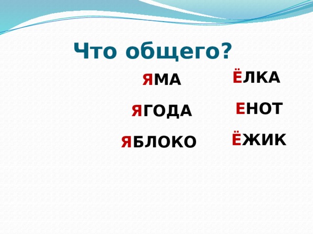 Что общего? Ё ЛКА Е НОТ Ё ЖИК Я МА Я ГОДА Я БЛОКО  