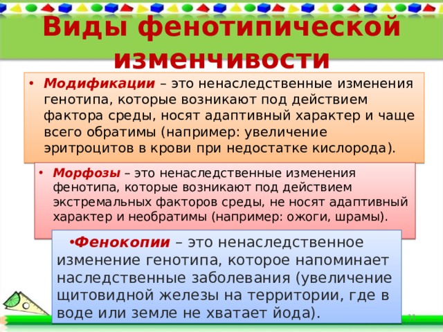 Виды фенотипической изменчивости Модификации  – это ненаследственные изменения генотипа, которые возникают под действием фактора среды, носят адаптивный характер и чаще всего обратимы (например: увеличение эритроцитов в крови при недостатке кислорода). Морфозы – это ненаследственные изменения фенотипа, которые возникают под действием экстремальных факторов среды, не носят адаптивный характер и необратимы (например: ожоги, шрамы). Фенокопии  – это ненаследственное изменение генотипа, которое напоминает наследственные заболевания (увеличение щитовидной железы на территории, где в воде или земле не хватает йода).  