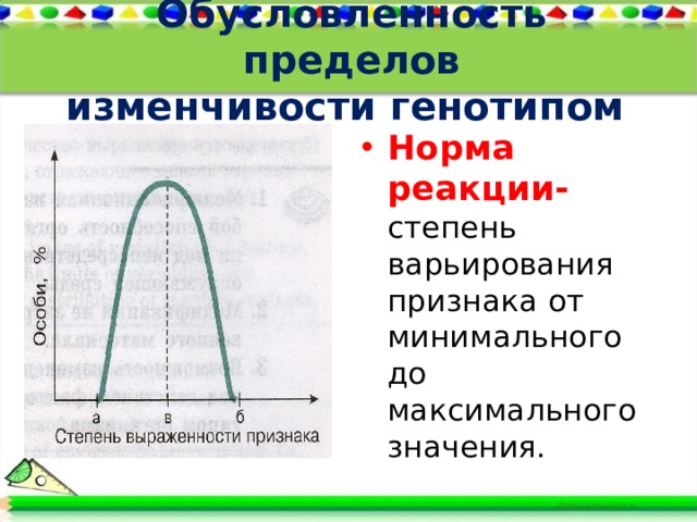 Обусловленность пределов  изменчивости генотипом   Норма реакции- степень варьирования признака от минимального до максимального значения. 