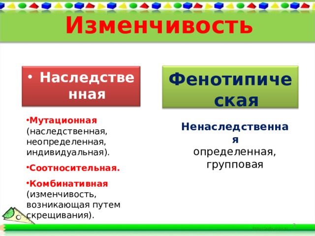 Изменчивость Фенотипическая Наследственная (генотипическая)  Мутационная (наследственная, неопределенная, индивидуальная). Соотносительная. Комбинативная (изменчивость, возникающая путем скрещивания). Мутационная (наследственная, неопределенная, индивидуальная). Соотносительная. Комбинативная (изменчивость, возникающая путем скрещивания). Ненаследственная определенная, групповая 3 