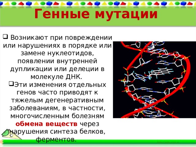Генные мутации  Возникают при повреждении или нарушениях в порядке или замене нуклеотидов, появлении внутренней дупликации или делеции в молекуле ДНК. Эти изменения отдельных генов часто приводят к тяжелым дегенеративным заболеваниям, в частности, многочисленным болезням обмена веществ через нарушения синтеза белков, ферментов. 
