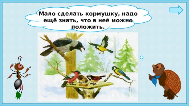 Мало сделать кормушку, надо ещё знать, что в неё можно положить.   