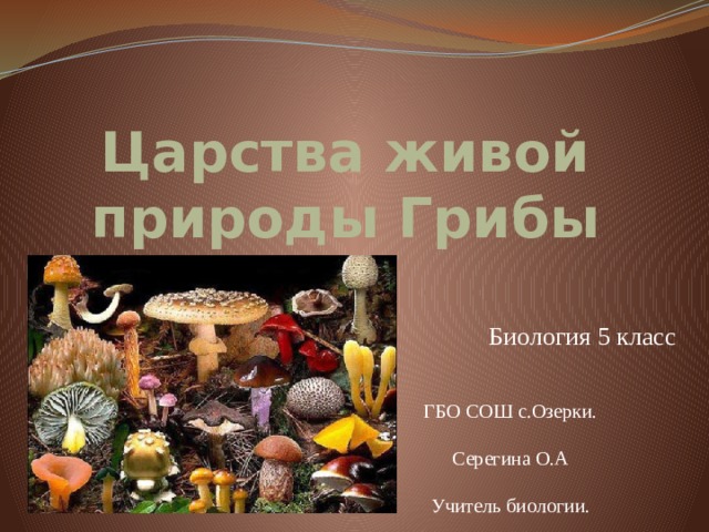Царства живой природы Грибы Биология 5 класс ГБО СОШ с.Озерки. Серегина О.А Учитель биологии. 