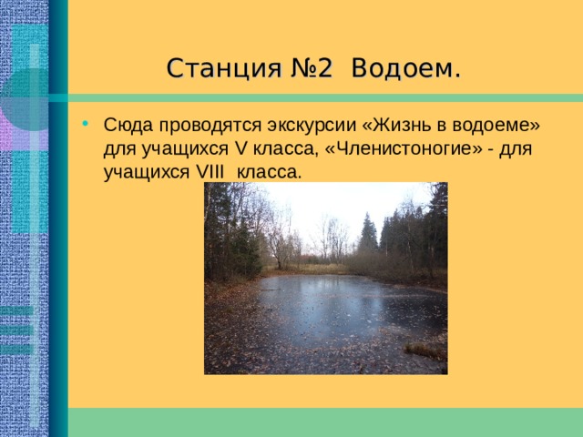  Станция №1 Цветочная На ней можно познакомить ребят с декоративными растениями. 