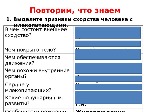 Повторим, что знаем 1. Выделите признаки сходства человека с млекопитающими. В чем состоит внешнее сходство? Голова, шея, туловище, 4-е конечности и хвост. Чем покрыто тело? Кожей и волосами. Чем обеспечиваются движения? Мышцами. Чем похожи внутренние органы? Строением и функциями. Сердце у млекопитающих? Четырёхкамерное. Какие полушария г.м. развиты? Большие полушария г.м. Особенности рождения и вскармливания детенышей? Живорождение, вскармливание молоком. 
