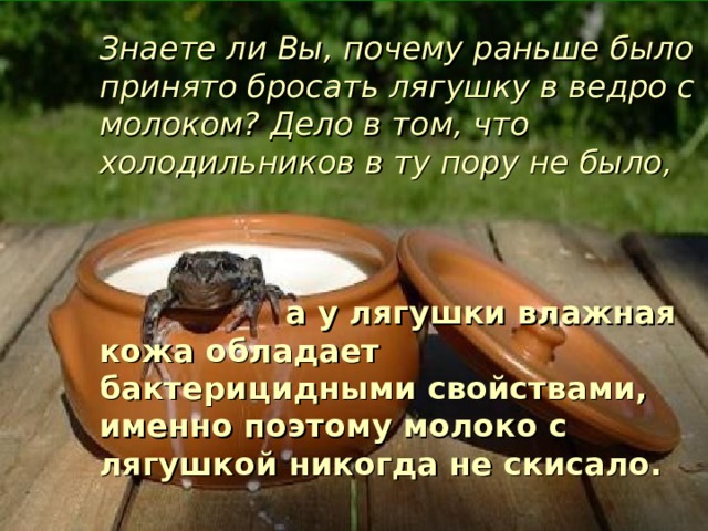 Знаете ли Вы, почему раньше было принято бросать лягушку в ведро с молоком? Дело в том, что холодильников в ту пору не было,       а у лягушки влажная кожа обладает бактерицидными свойствами, именно поэтому молоко с лягушкой никогда не скисало. 