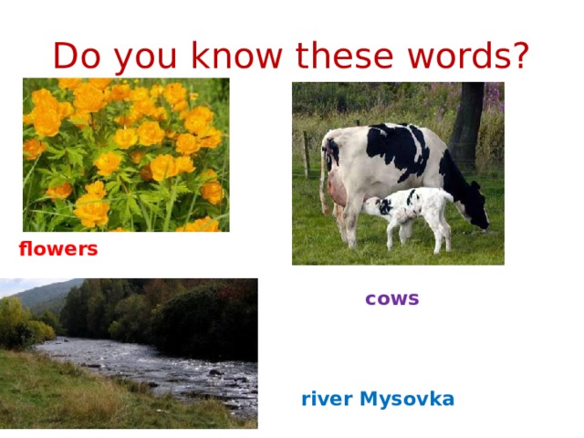 Do you know these words? flowers cows river Mysovka 