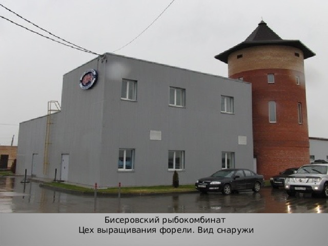 Бисеровский рыбокомбинат Цех выращивания форели. Вид снаружи 