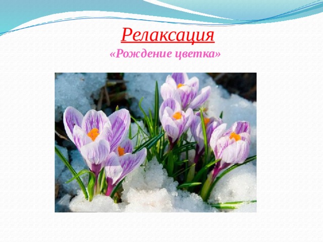    Релаксация «Рождение цветка»        