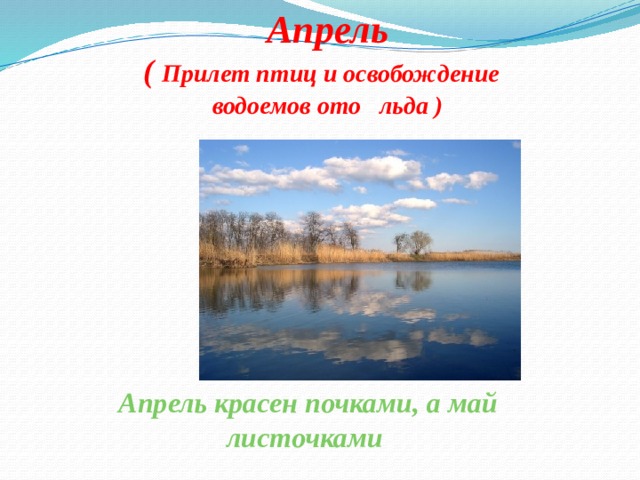 Апрель ( Прилет птиц и освобождение водоемов ото льда )       Апрель красен почками, а май листочками   