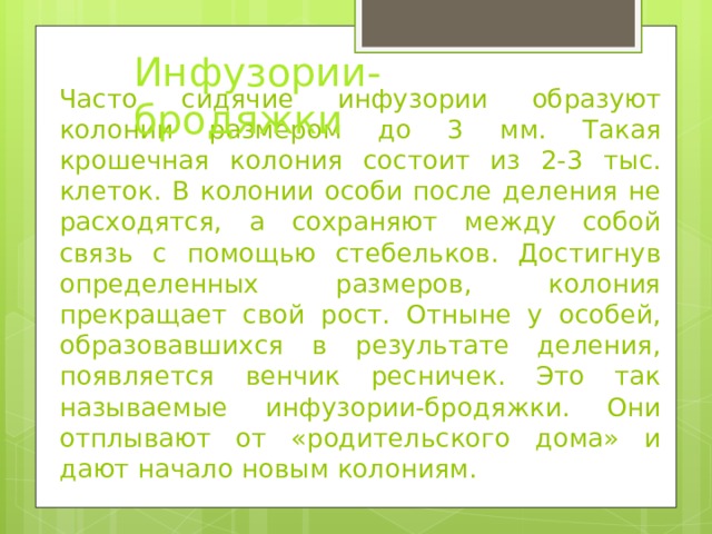 Инфузории-бродяжки Часто сидячие инфузории образуют колонии размером до 3 мм. Такая крошечная колония состоит из 2-3 тыс. клеток. В коло­нии особи после деления не расходятся, а сохраняют между собой связь с помощью стебельков. Достигнув определенных размеров, колония прекращает свой рост. Отныне у особей, образовавшихся в результате деления, появляется венчик ресничек. Это так называемые инфузории-бродяжки. Они отплывают от «родительского дома» и дают начало новым колониям. 