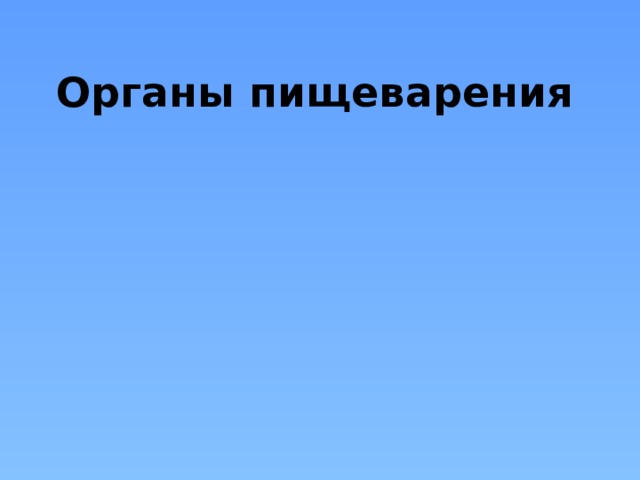 Органы пищеварения 