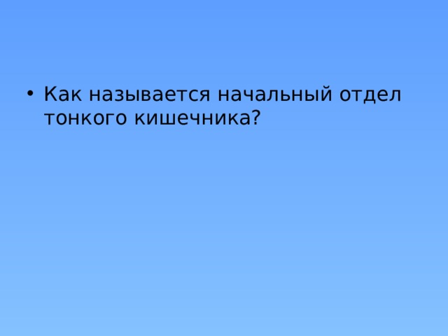 Как называется начальный отдел тонкого кишечника? 
