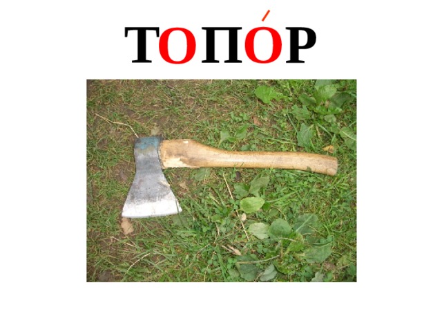 О Т П О Р 