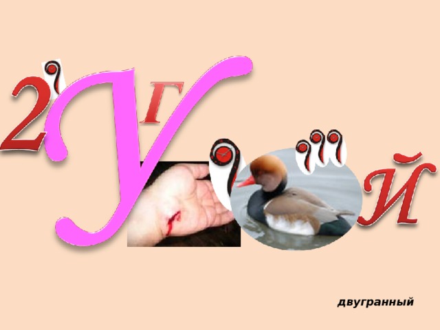 двугранный 