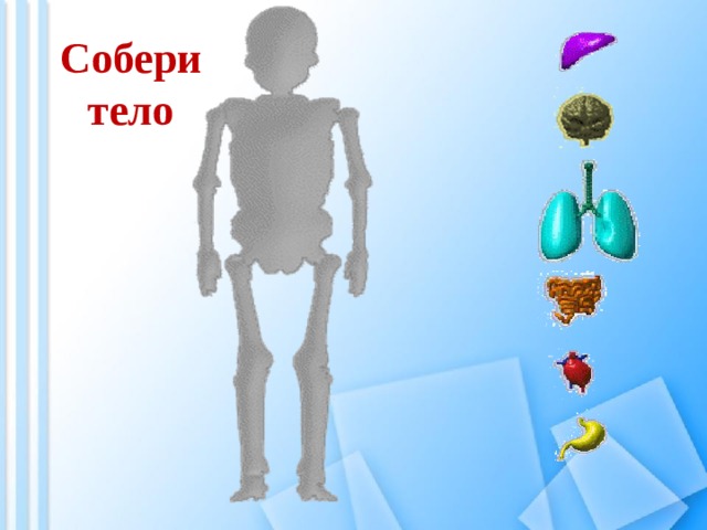 Собери тело 