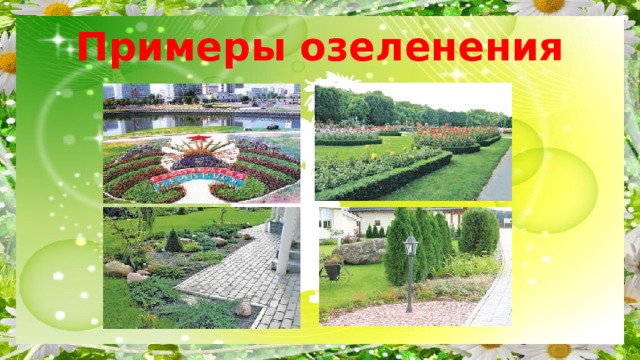 Примеры озеленения 
