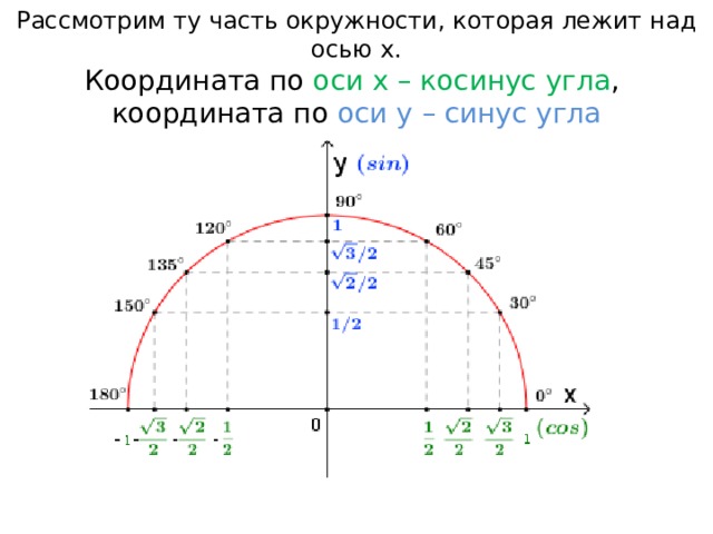 Рассмотрим ту часть окружности, которая лежит над осью x.  Координата по оси x – косинус угла ,   координата по оси y – синус угла 