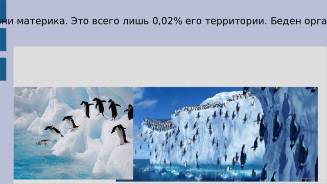 Большая часть Антарктиды — ледяная пустыня, лишь у берегов теплится жизнь. Там, где из-под льда выступают немногочисленные скалы, расположены оазисы жизни материка. Это всего лишь 0,02% его территории. Беден органический мир Антарктиды, лишь редкие мхи, лишайники и водоросли населяют ее. Пингвины — главное украшение континента. В водах морей живут киты, тюлени. 