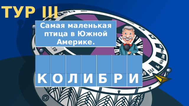 ТУР III Самая маленькая птица в Южной Америке.  К  О  Л  И  Б  Р  И 