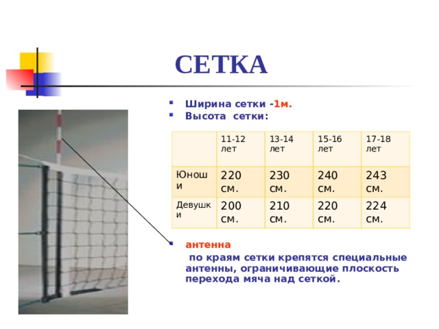  СЕТКА Ширина сетки - 1м. Высота сетки:              антенна  по краям сетки крепятся специальные антенны, ограничивающие плоскость перехода мяча над сеткой. 11-12 лет Юноши Девушки 220 см. 13-14 лет 15-16 лет 200 см. 230 см. 17-18 лет 240 см. 210 см. 220 см. 243 см. 224 см. 
