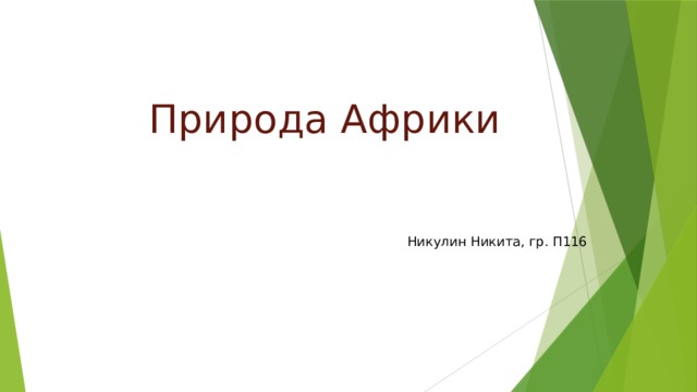 Природа Африки Никулин Никита, гр. П116