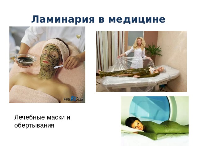 Ламинария в медицине Лечебные маски и обертывания 
