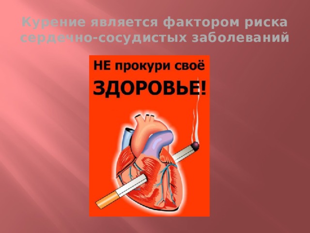 Курение является фактором риска сердечно-сосудистых заболеваний 