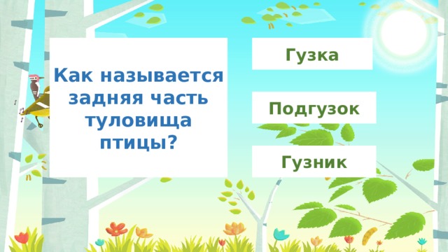 Гузка Как называется задняя часть туловища птицы? Подгузок Гузник 