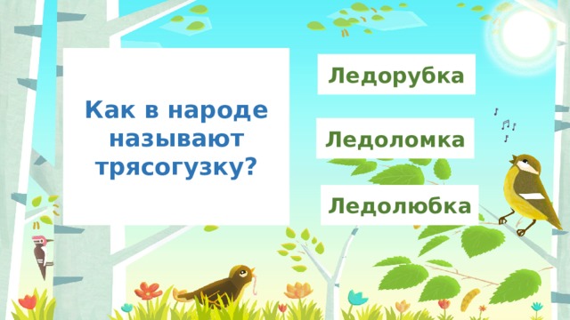 Как в народе называют трясогузку? Ледорубка Ледоломка Ледолюбка 
